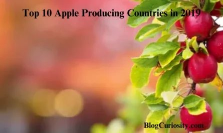 Top 10 Apple Producing Countries in 2019