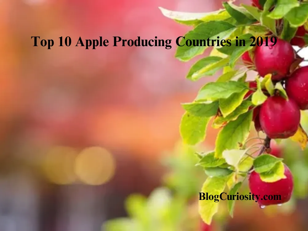 Top 10 Apple Producing Countries in 2019