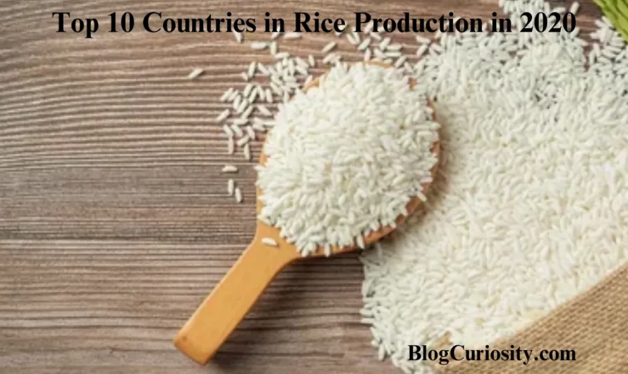 Top 10 Countries in Rice Production in 2020