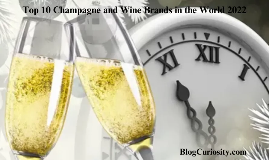 Top 10 Champagne and Wine Brands in the World 2022