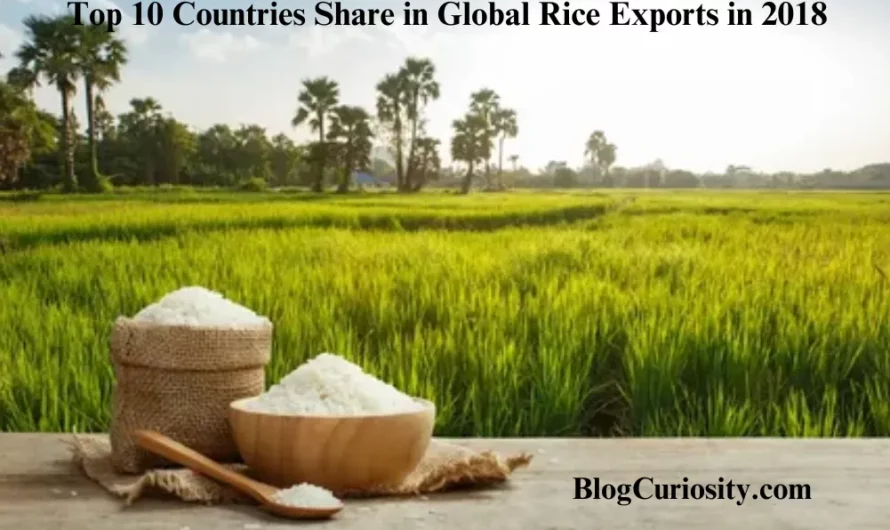 Top 10 Countries Share In Global Rice Exports in 2018