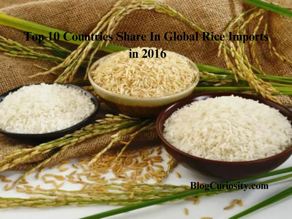 Top 10 Countries Share In Global Rice Imports in 2016
