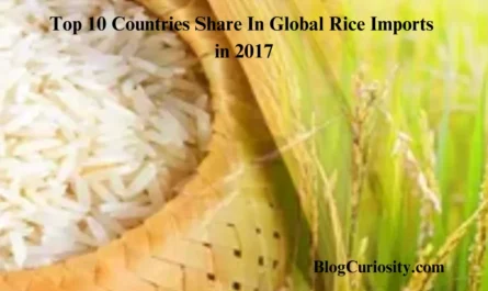 Top 10 Countries Share In Global Rice Imports in 2017