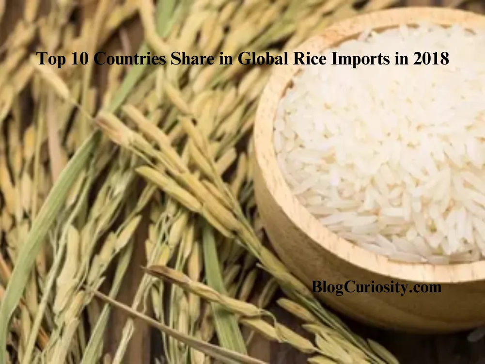 Top 10 Countries Share In Global Rice Imports in 2018
