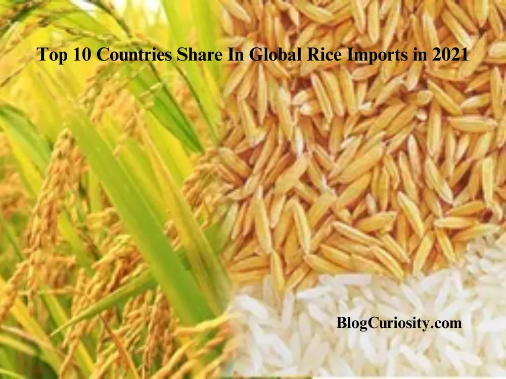 Top 10 Countries Share In Global Rice Imports in 2021