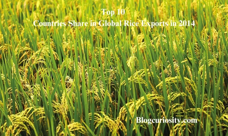 Top 10 Countries Share in Global Rice Exports in 2014