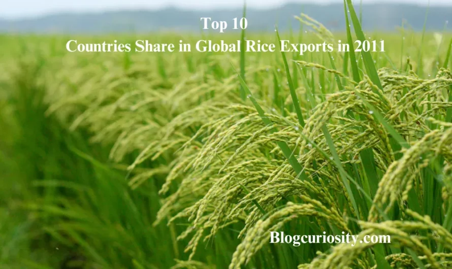Top 10 Countries Share in Global Rice Exports in 2011
