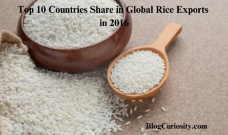 Top 10 Countries Share in Global Rice Exports in 2016