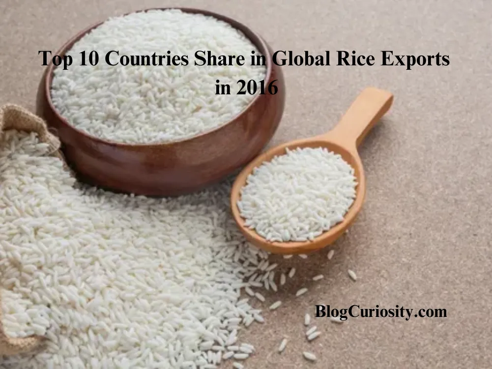 Top 10 Countries Share in Global Rice Exports in 2016