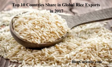 Top 10 Countries Share in Global Rice Exports in 2017