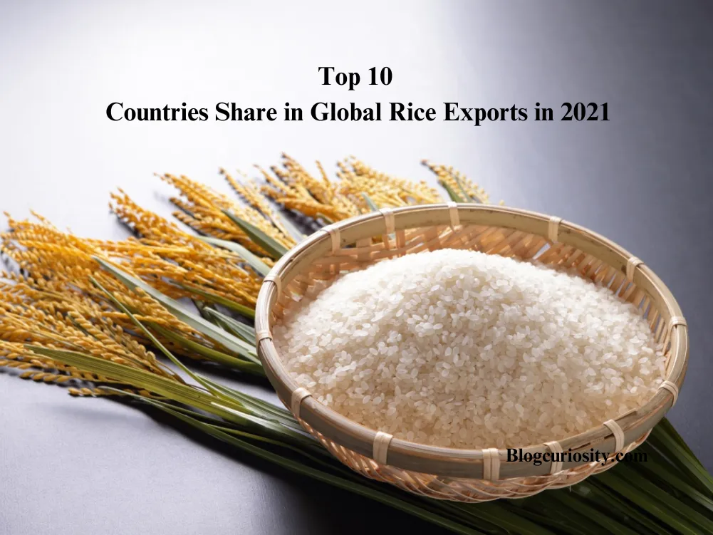 Top 10 Countries Share in Global Rice Exports in 2021