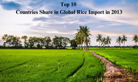 Top 10 Countries Share in Global Rice Import in 2014