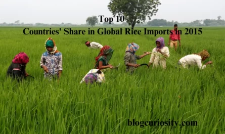 Top 10 Countries' Share in Global Rice Imports in 2010