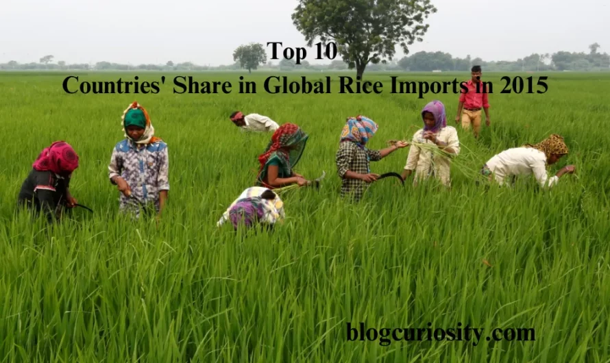 Top 10 Countries Share in Global Rice Export in 2015