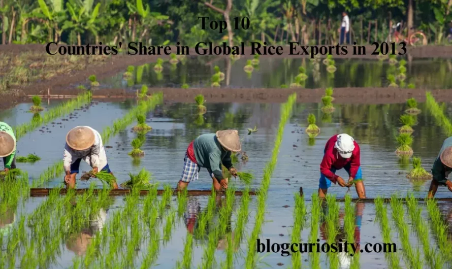 Top 10 Countries Share in Global Rice Exports in 2013