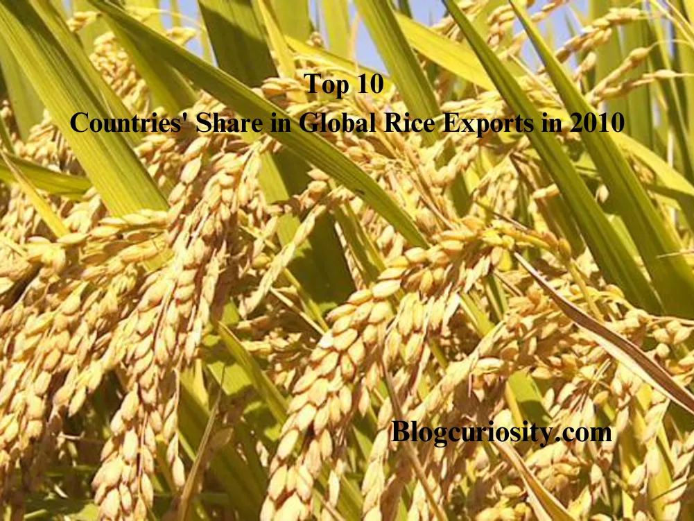Top 10 Countries Share in Global Rice Exports in 2010