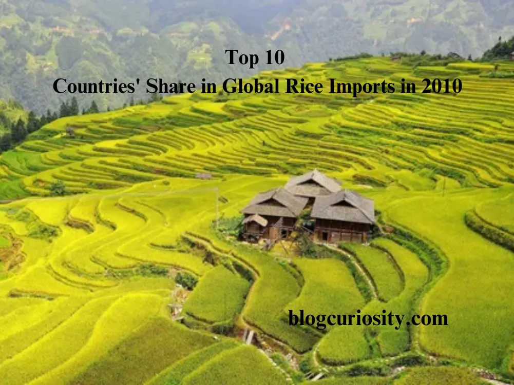 Top 10 Countries' Share in Global Rice Imports in 2010