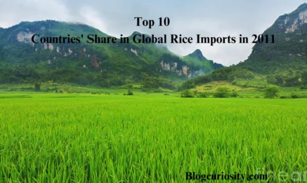 Top 10 Countries' Share in Global Rice Imports in 2012