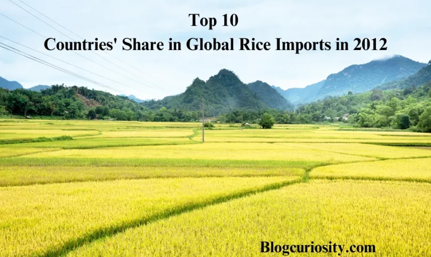 Top 10 Countries Share in Global Rice Imports in 2012