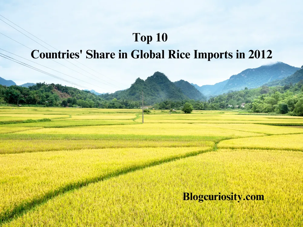 Top 10 Countries' Share in Global Rice Imports in 2012