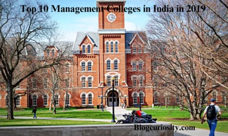 Top 10 Management Colleges in India in 2019