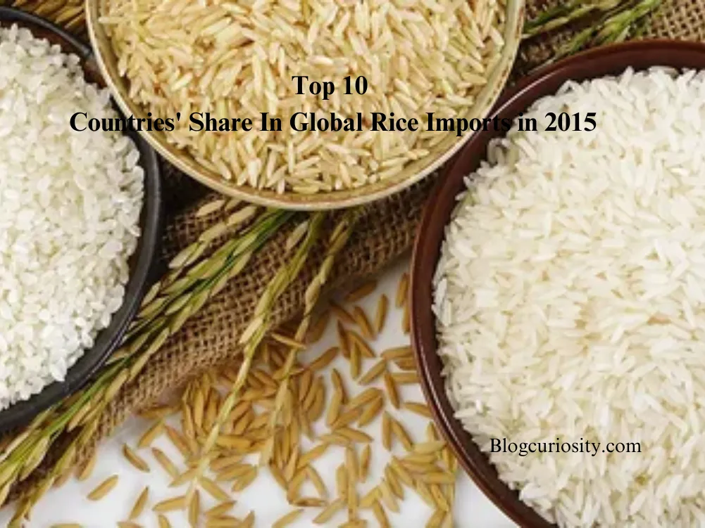 Top 10 Countries Share In Global Rice Imports in 2015